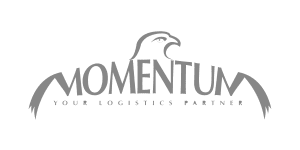 momentum logo